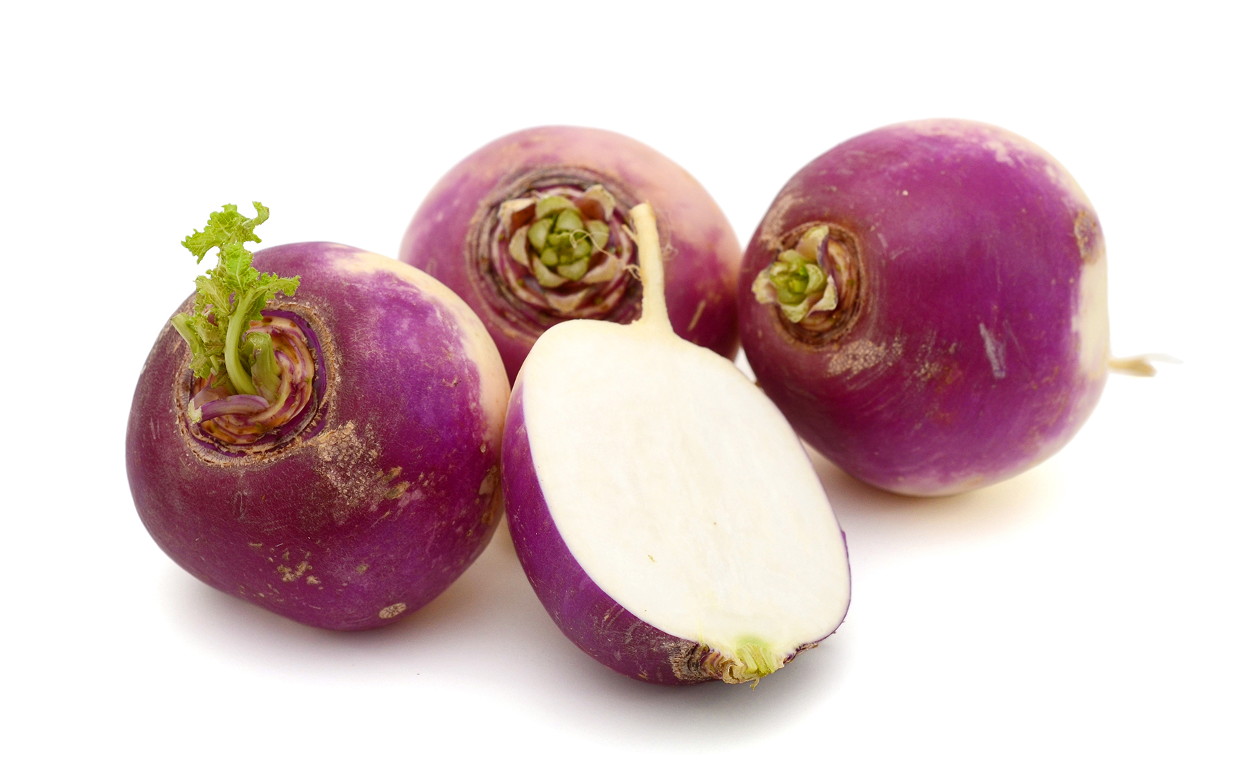 Shutterstock 332274044